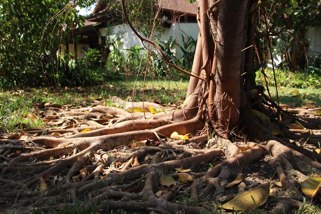 Terres Rouges Lodge Banlung Ngoại thất bức ảnh